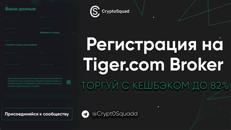 Регистрация аккаунта на Tiger Trade