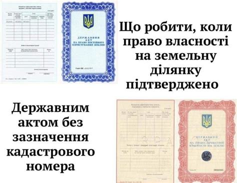 Регистрация кадастрового номера управленческим органом