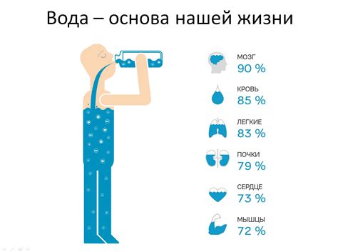 Регулирование качества воды и его значение для человека