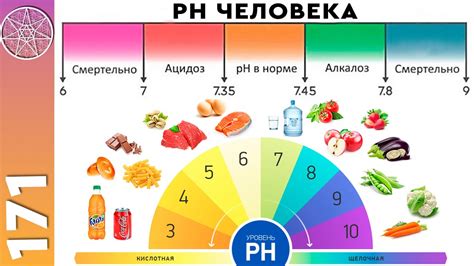 Регулирование уровня pH в организме