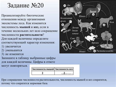 Регулирование численности растительности