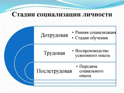 Регулярная социализация