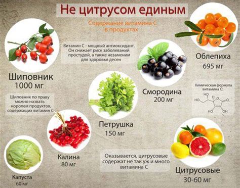 Регулярное употребление питательных продуктов