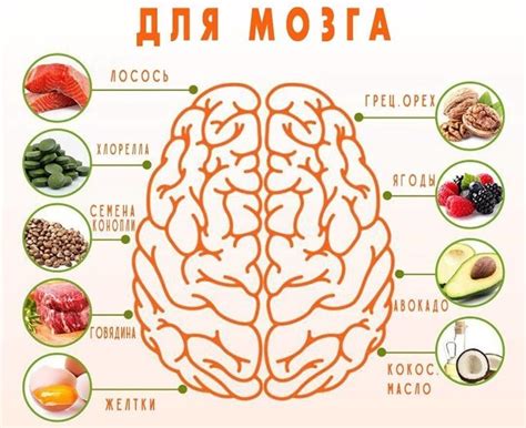 Регулярное упражнение мозга