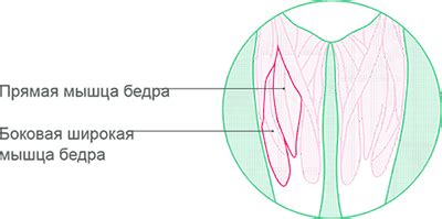 Регулярность и частота инъекций в бедро