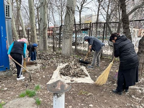 Регулярно кормите и поддерживайте чистоту