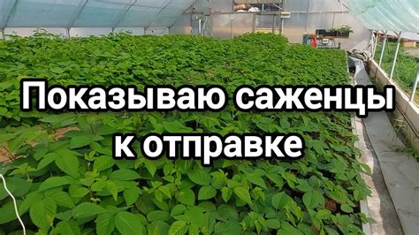 Регулярно проверяйте работоспособность