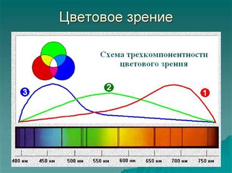 Регулярные паузы от экранов для защиты зрения