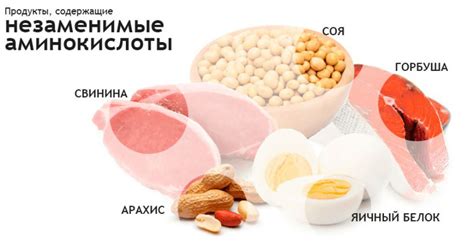 Регулярный анализ уровня аминокислот