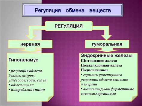 Регуляция вещественного обмена