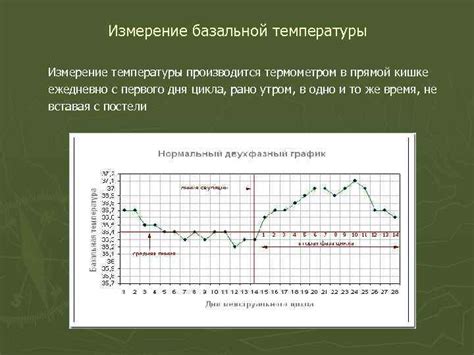 Регуляция и поддержание температуры в СКТ: методы и техники