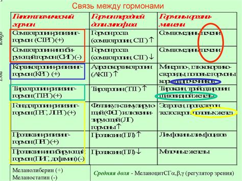 Регуляция и управление активностью