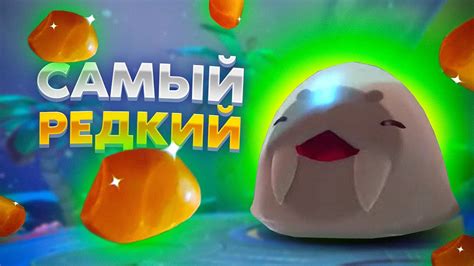 Редкий ресурс для приготовления