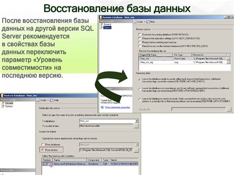 Резервное копирование и восстановление данных в SQL сервере