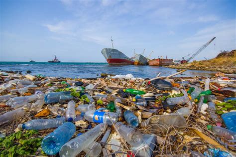 Результаты загрязнения водоема ряской и тиной