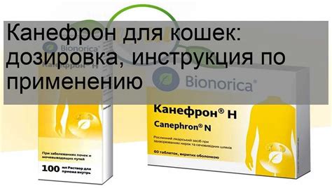 Результаты и рекомендации от ветеринаров по использованию Канефрона в каплях для котов