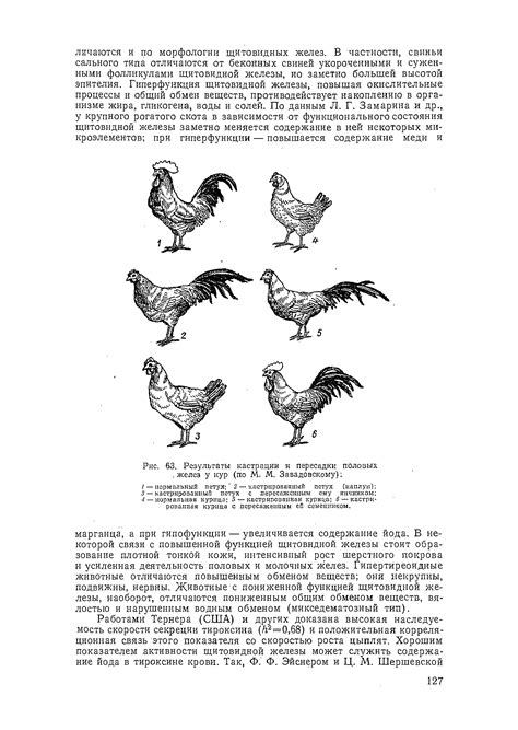 Результаты кастрации