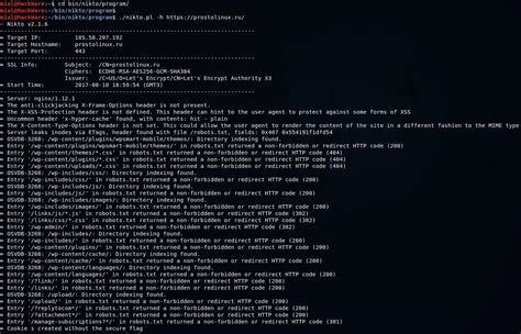 Резюме по использованию Nikto на Kali Linux