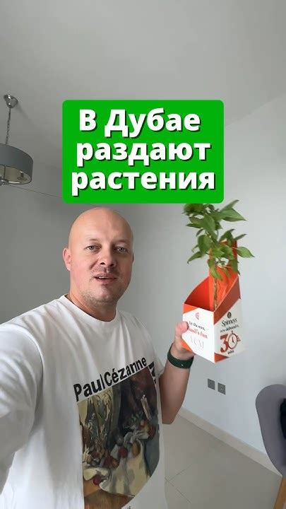 Рекламная кампания в Дубае