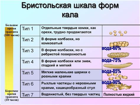 Рекомендации для поддержания нормальной формы каловых масс