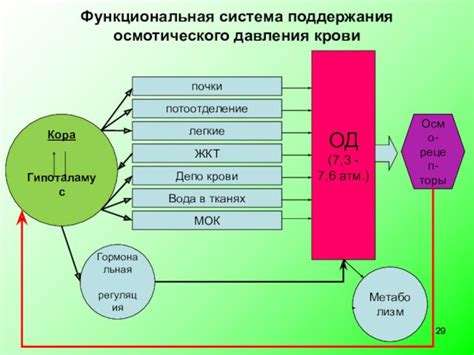 Рекомендации для поддержания оптимального осмотического давления