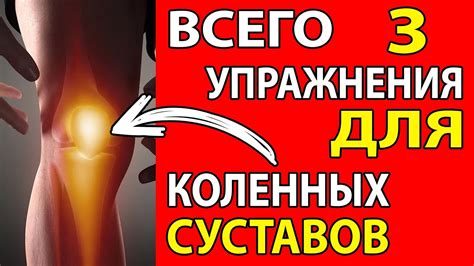 Рекомендации для укрепления коленных суставов