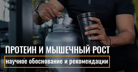 Рекомендации по выбору протеиновых продуктов