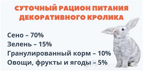 Рекомендации по использованию рябины в рационе кроликов