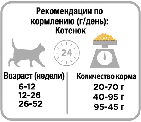 Рекомендации по кормлению котов сухим кормом