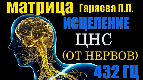 Рекомендации по поддержанию нормальной работы нервной системы во время сна