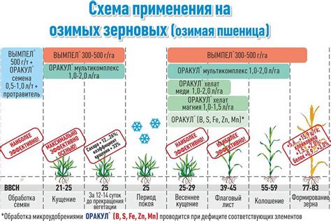 Рекомендации по удобрению и подкормке почвы