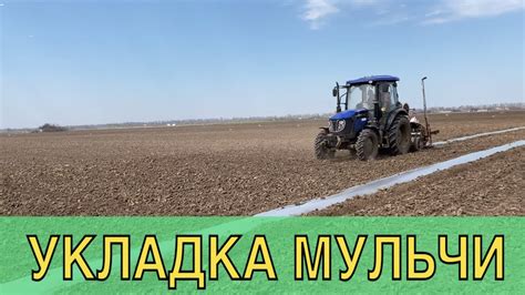 Рекомендации по укладке мульчи для эффективного результата