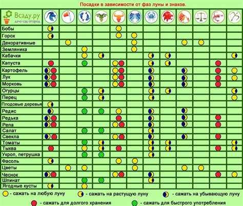 Рекомендации по уходу за растениями в зависимости от фаз луны