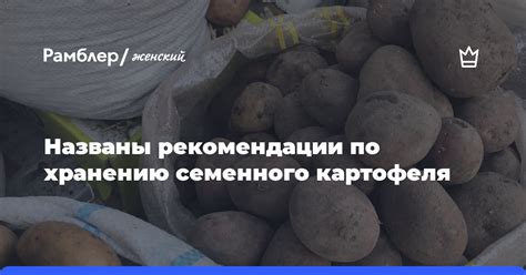 Рекомендации по хранению мясного рагу