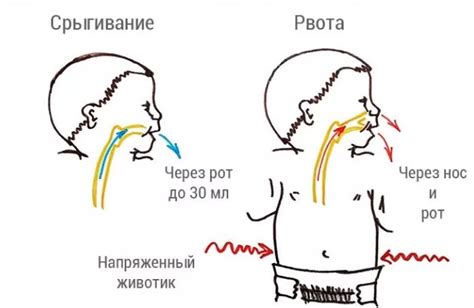 Рекомендации по частоте и объему кормлений после срыгивания