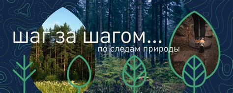 Рекомендации по экологически чистому путешествию на автодоме в 2022 году