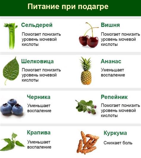 Рекомендуемые продукты для питания при подагре