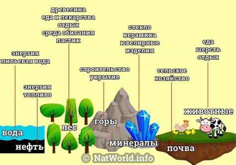 Ресурсы, которые предоставляет природа