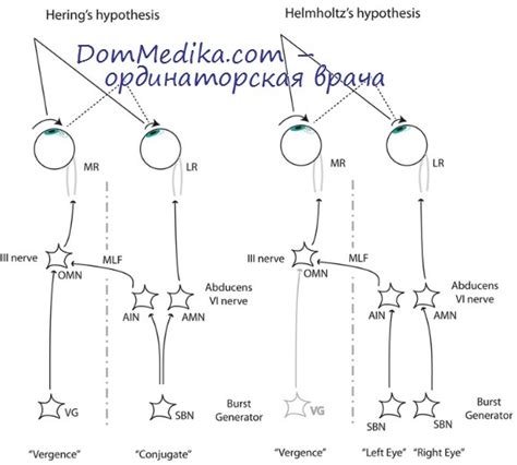 Рефлекторные движения глаз