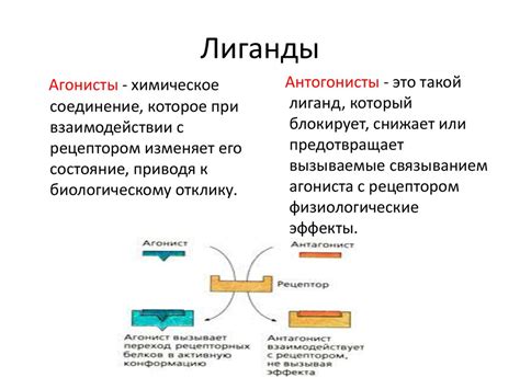 Рецепторы и удовольствие