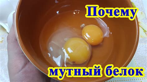 Рецепты белка из яйца