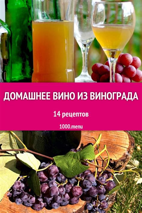 Рецепты домашнего вина из винограда кишмиш