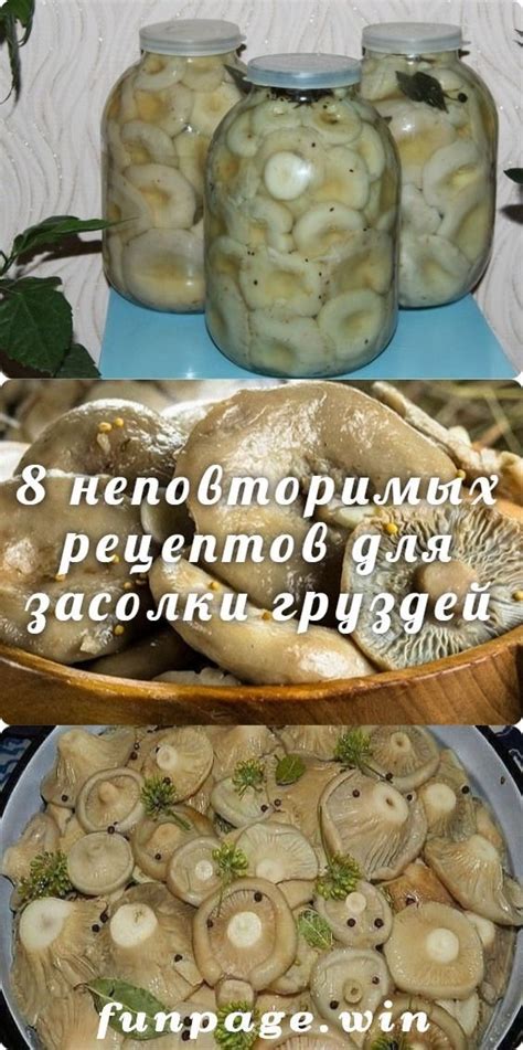 Рецепты засолки грибов груздей