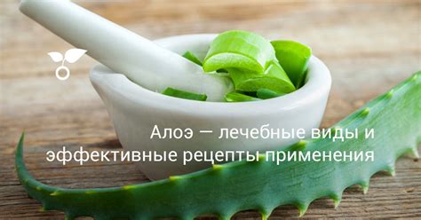 Рецепты применения