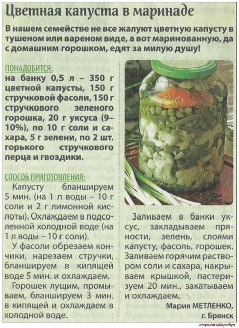 Рецепты соления капусты настоящими мастерами