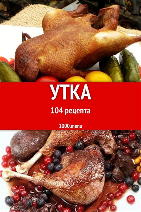 Рецепты утки тушенки на любой вкус