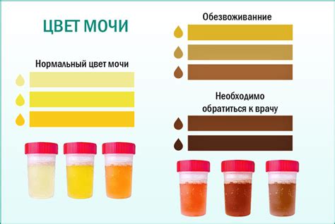 Решение проблемы и снижение запаха мочи после кастрации