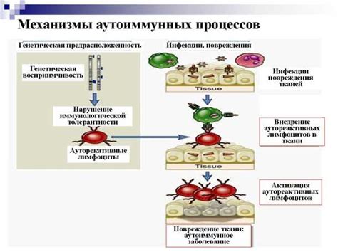 Риски при приёме Имудона при аутоиммунных заболеваниях