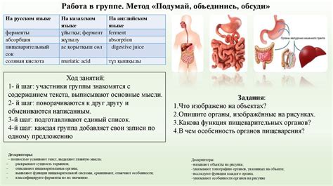 Риск задержки в пищеварении