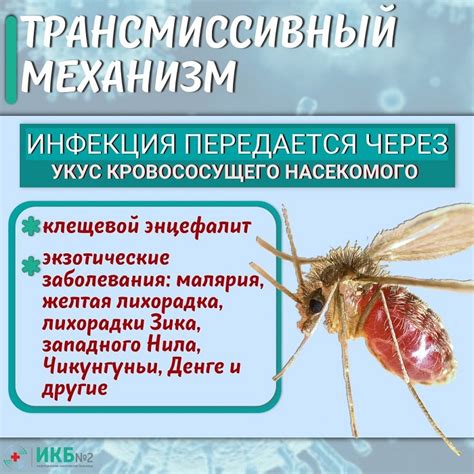 Риск передачи инфекций